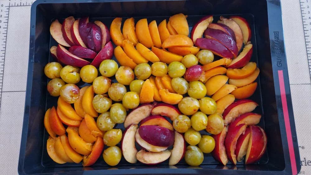 Image Clafoutis Multifruits XXL 6