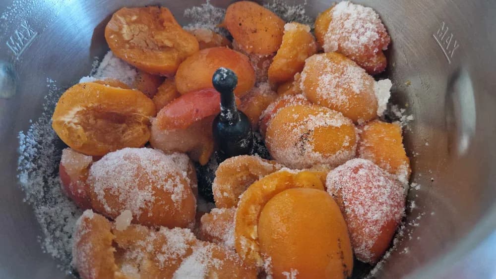 Image Confiture à l’Abricot 10