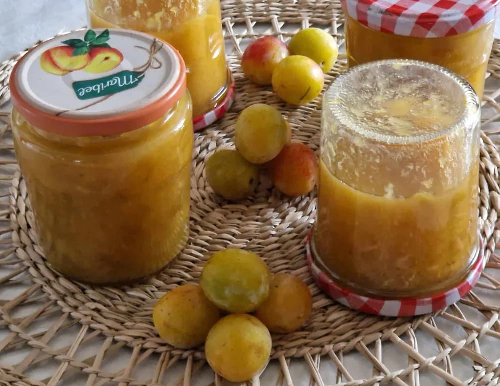Image Confiture de Mirabelles 17