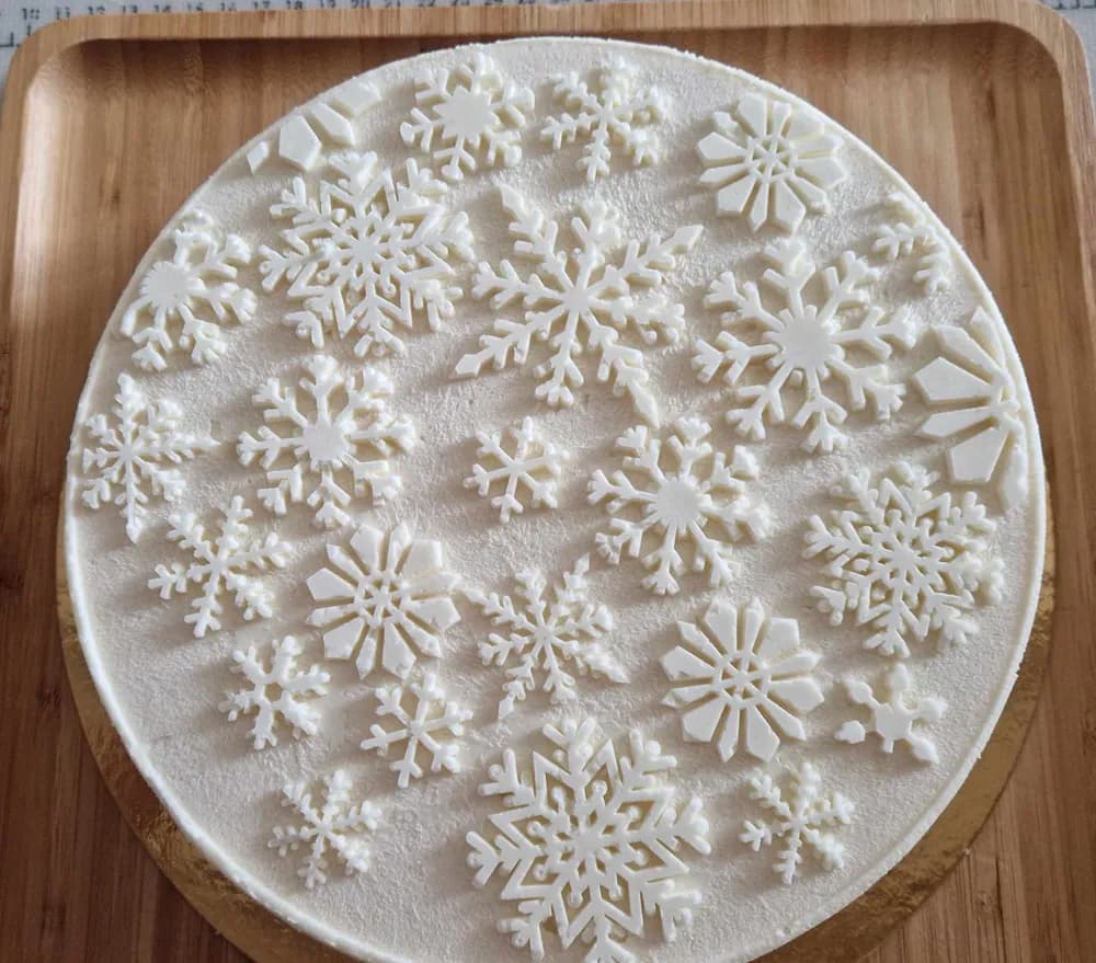 Image Entremet Flocon Nougat Abricot 47