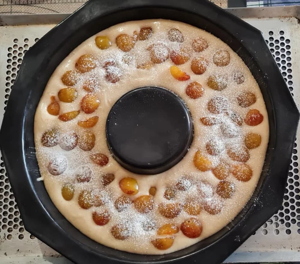 Image Fondant aux Mirabelles 21