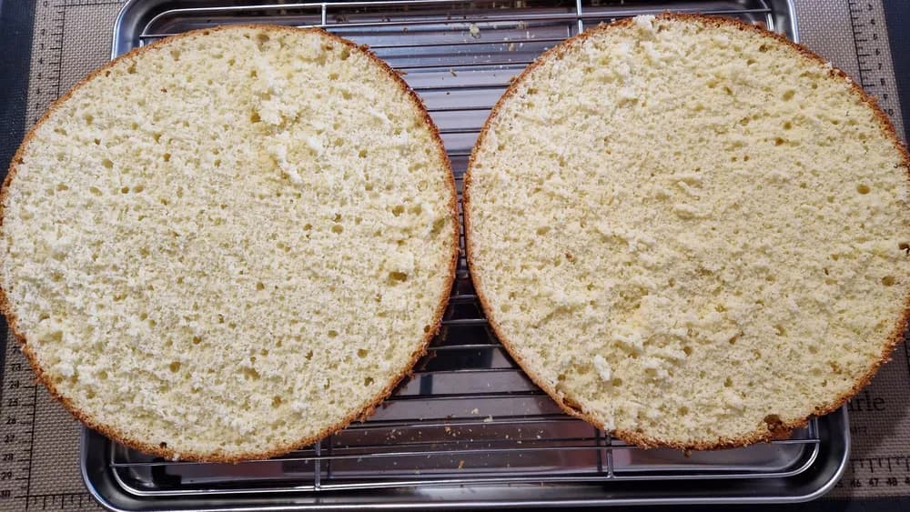 Image Galette Dunkerquoise 19
