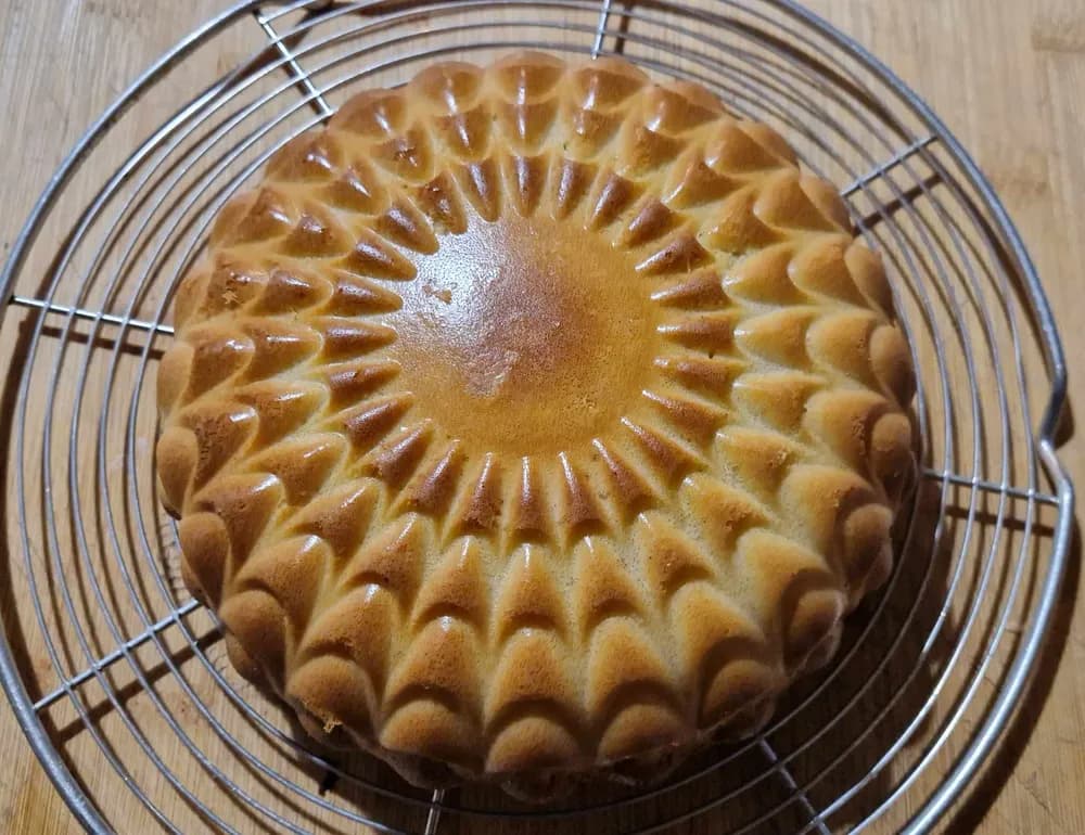 Image Gâteau Igloo aux Pommes 21