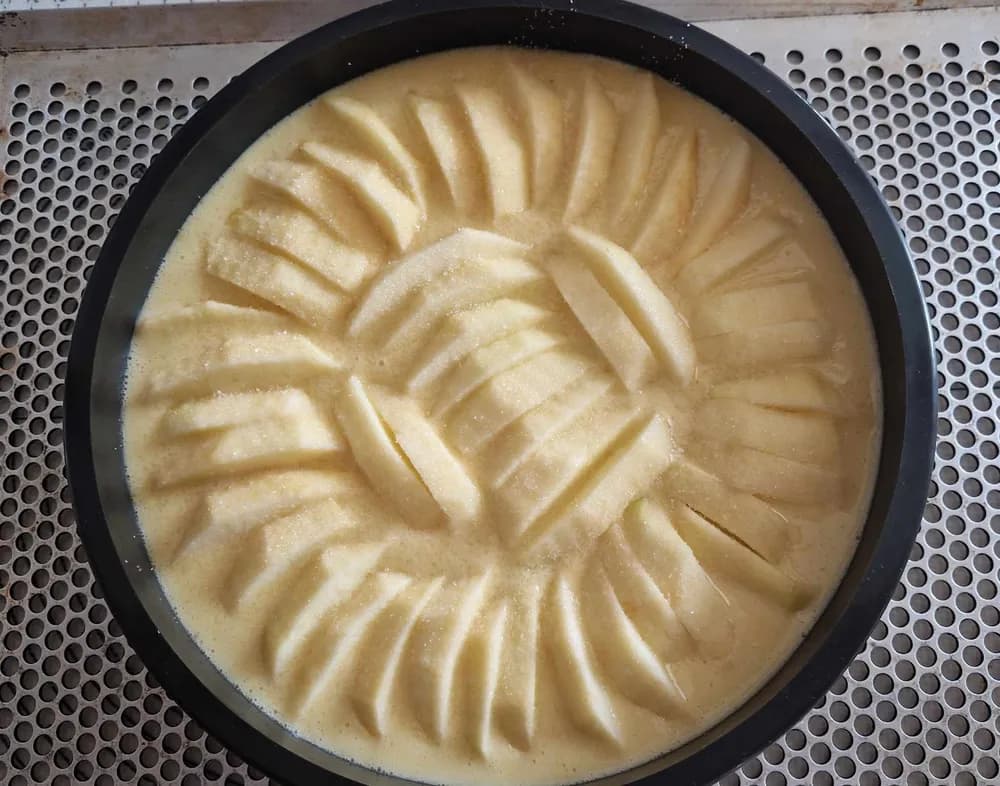 Image Gâteau Rapide aux Pommes 13