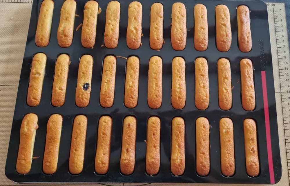 Image Madeleines Allongées aux Myrtilles 17
