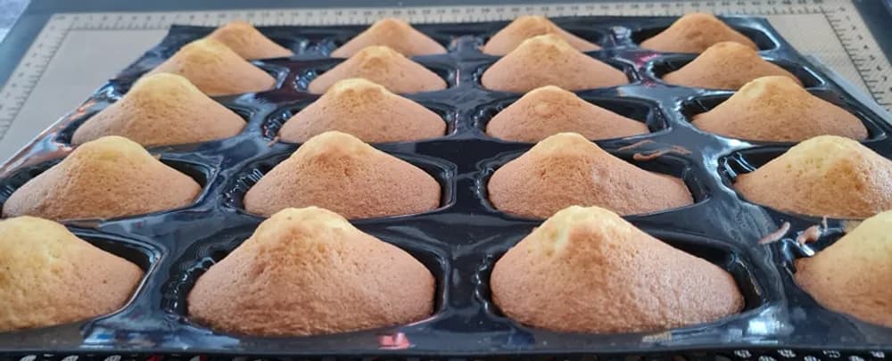 Image Madeleines de Commercy 17