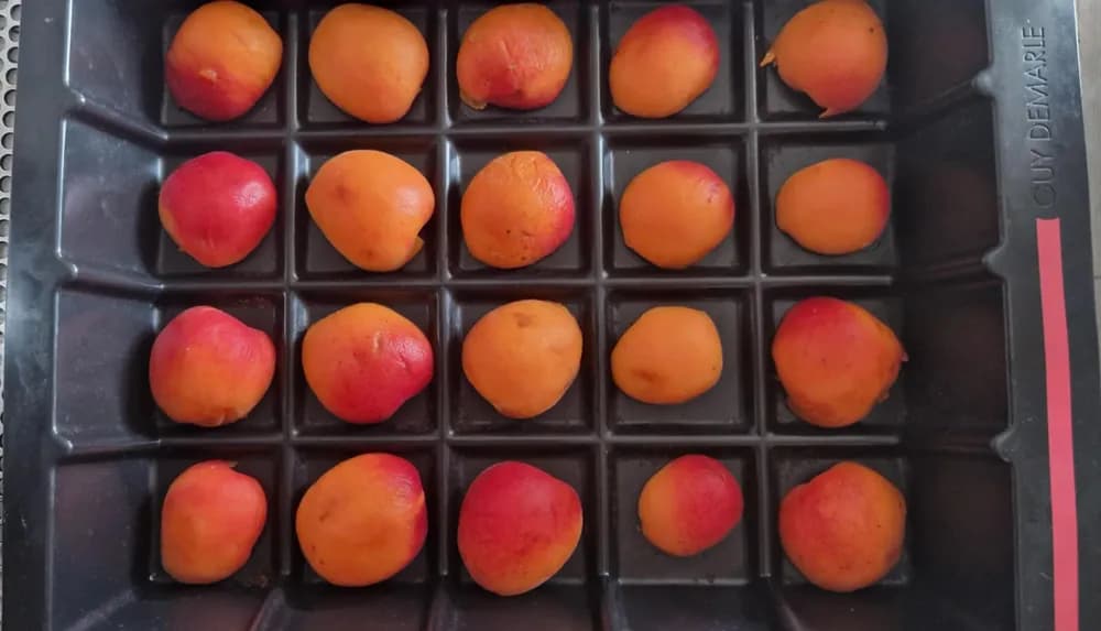 Image Moelleux aux Abricots 13