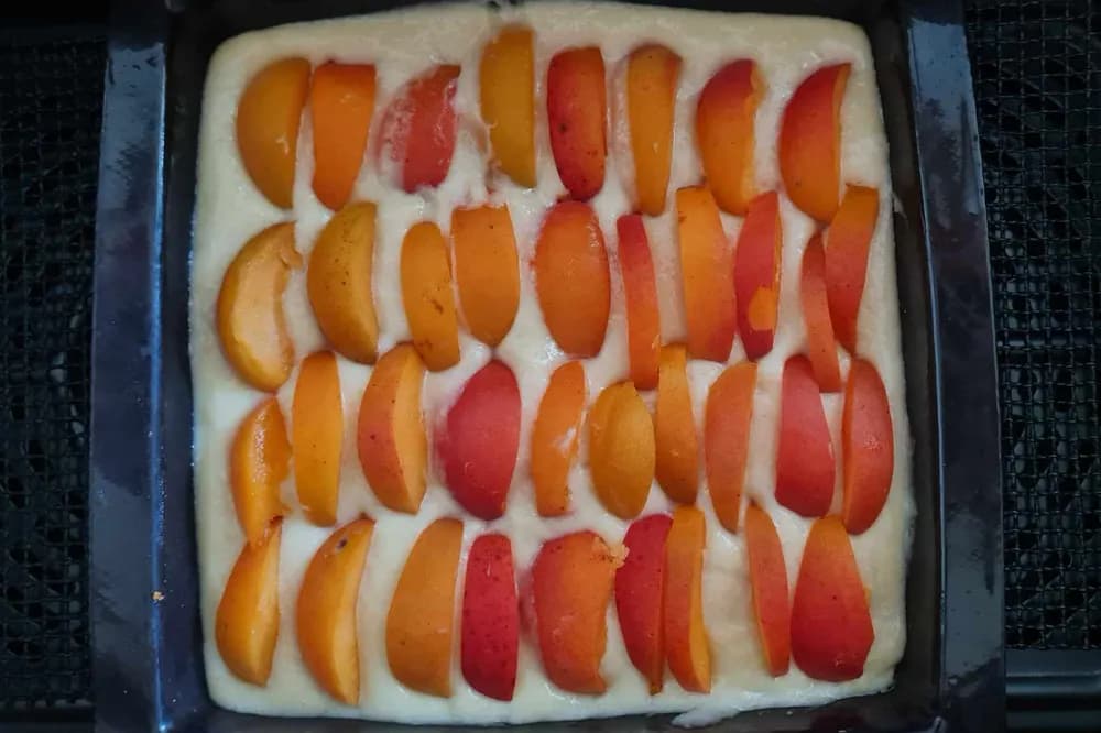Image Moelleux aux Abricots Yaourt 10
