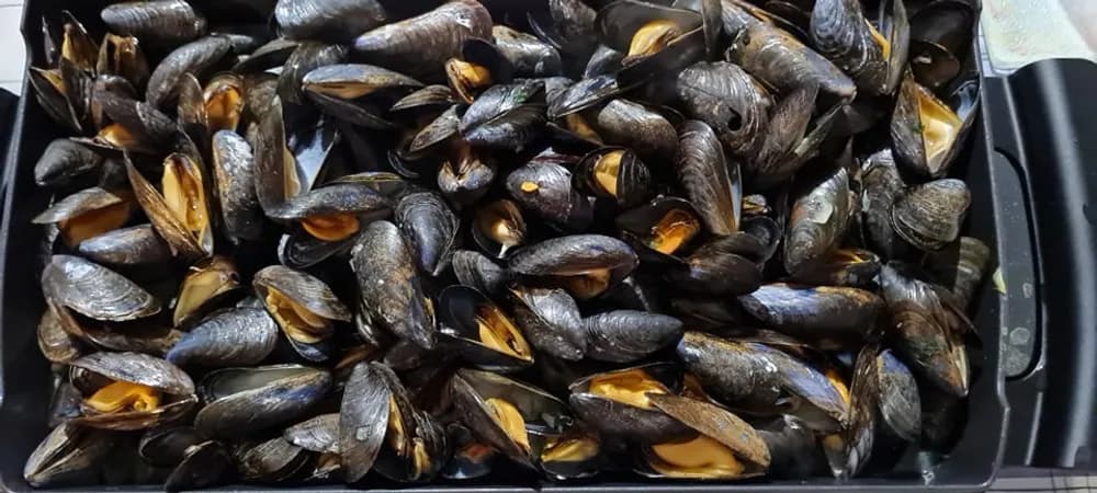 Image Moules de Savoie au Reblochon 11