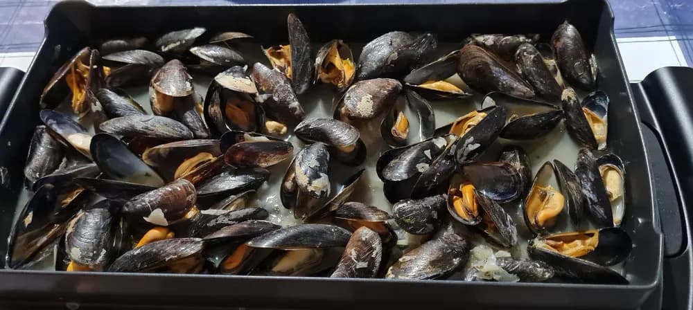 Image Moules au Maroilles 12