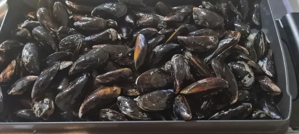 Image Moules au Maroilles 7