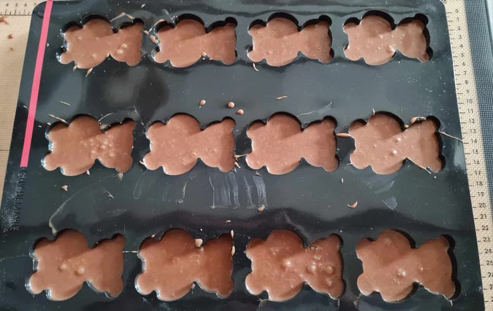 Image Oursons Moelleux au Chocolat 16