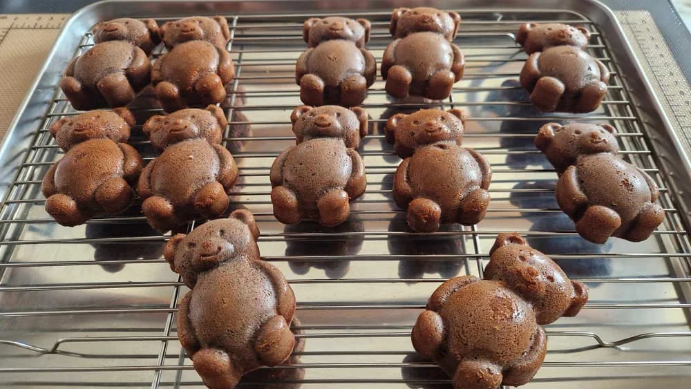 Image Oursons Moelleux au Chocolat 21