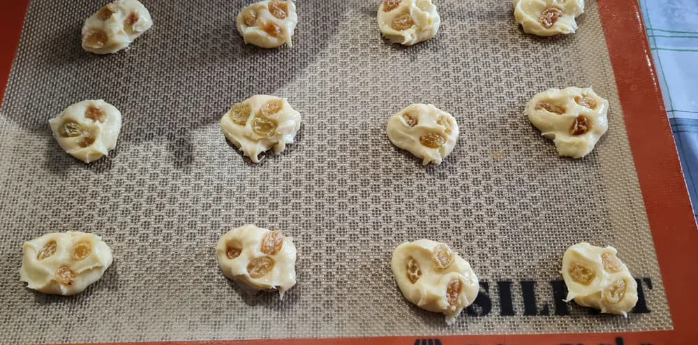 Image Palets de Dames aux Raisins et Pépites de Chocolat 11.2