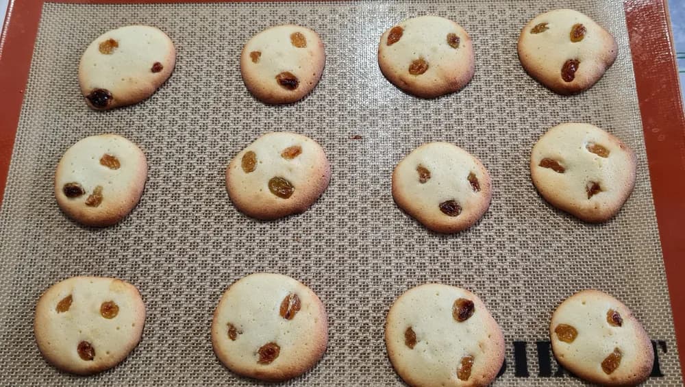 Image Palets de Dames aux Raisins et Pépites de Chocolat 13