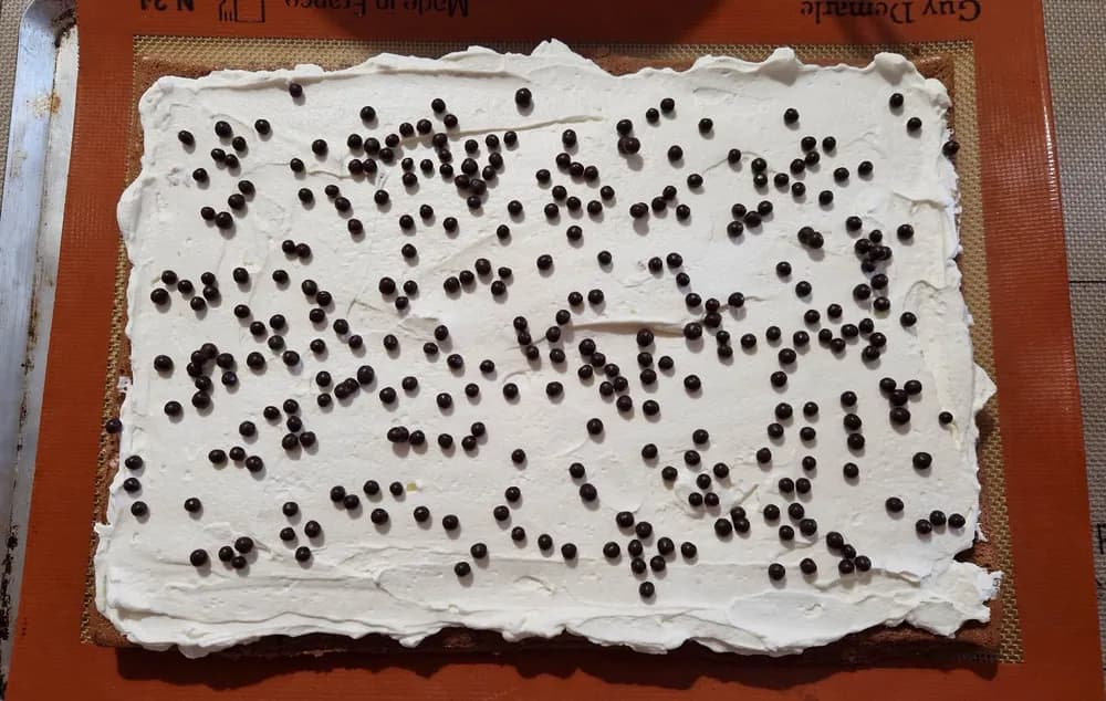 Image Roulé Stracciatella Façon Bûche 31