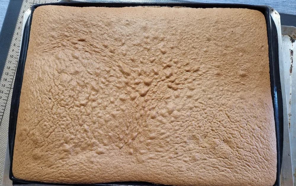 Image Roulé Stracciatella Façon Bûche 18