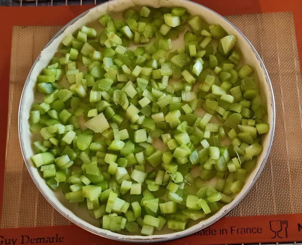 Image Tarte à la Rhubarbe 8