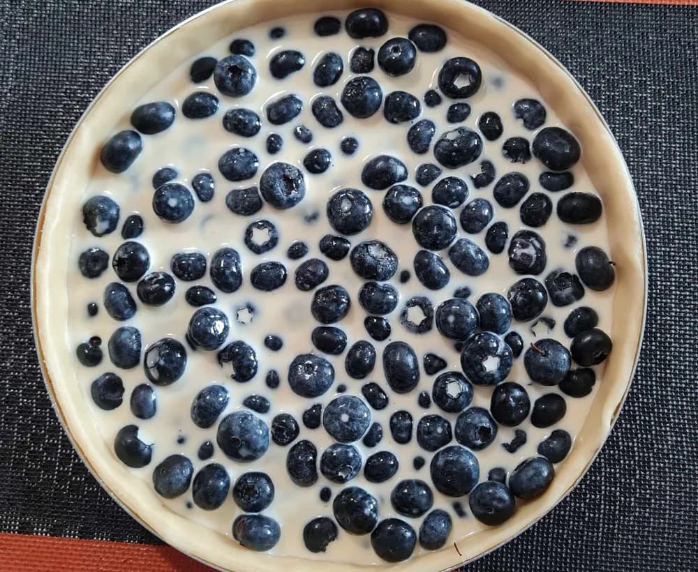 Image Tarte Alsacienne à la Myrtille 11