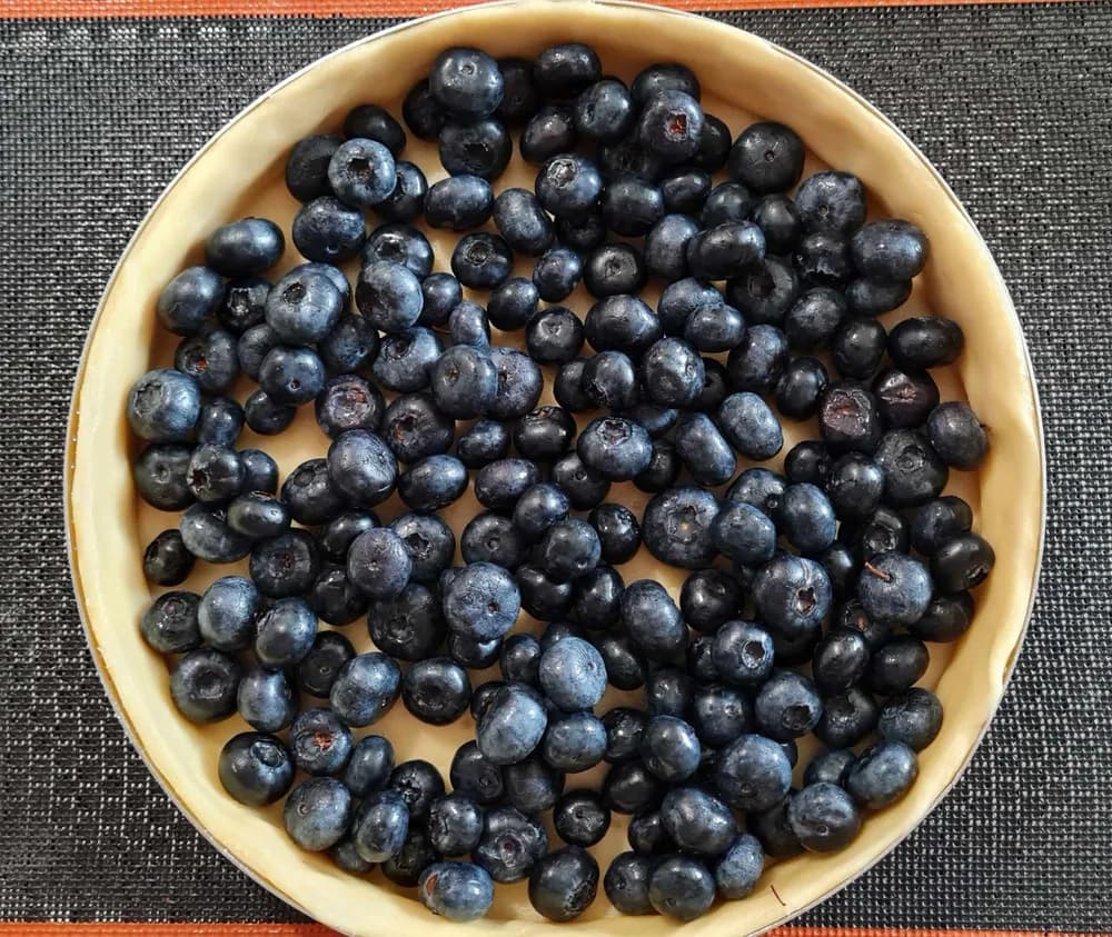 Image Tarte Alsacienne à la Myrtille 6