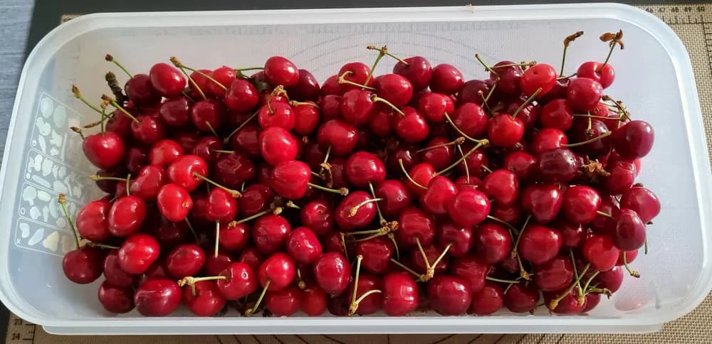 Image Tarte aux Cerises 3