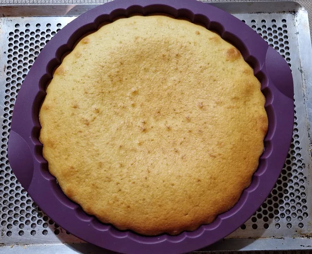 Image Tarte aux Fruits sur Biscuit Madeleine 15
