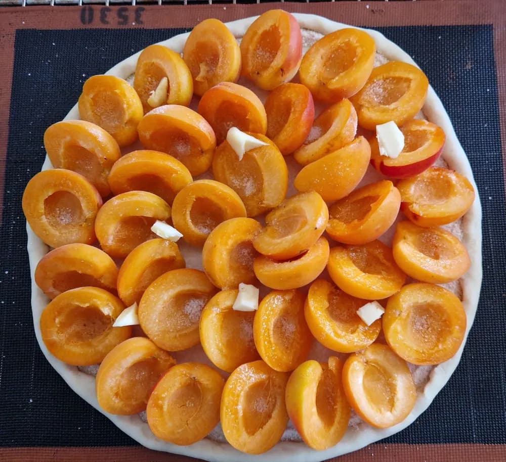Image Tarte Fine aux Abricots 12