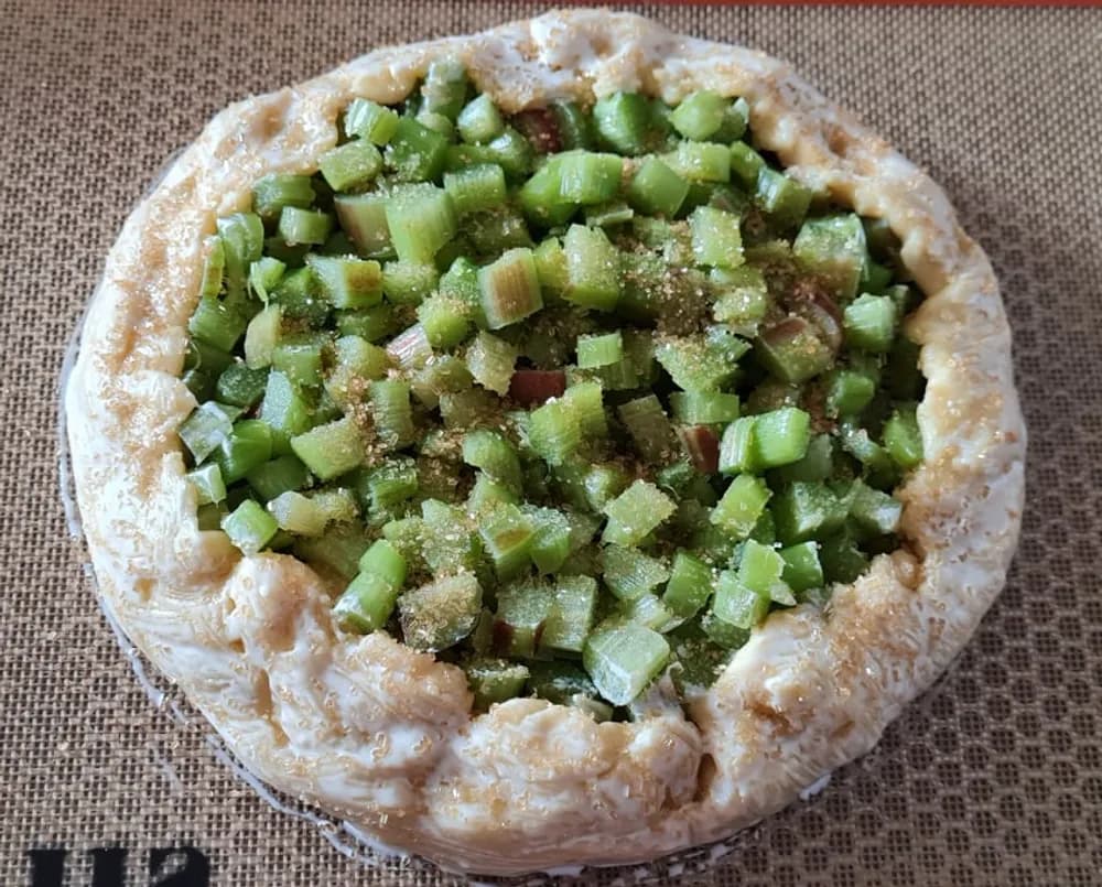 Image Tarte Rustique à la Rhubarbe 31