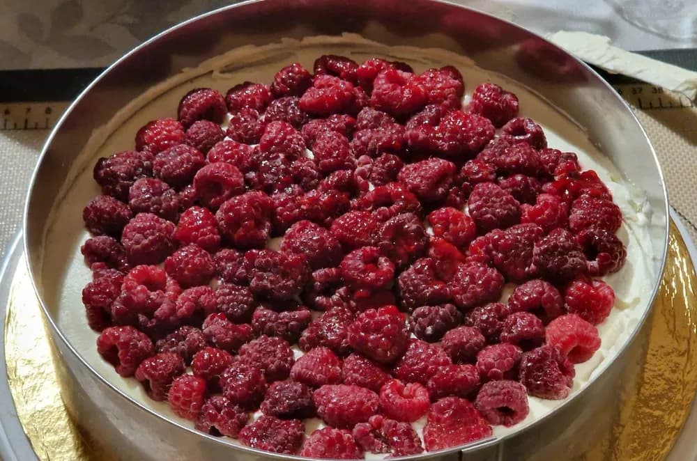 Image Tiramisu aux Framboises 24